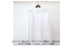 No.067 WATAKUMI　白シャツ　HIYOKU（LL） ／ 知多木綿 比翼 貝ボタン 和晒 吸水 メンズ カジュアル ユニセックス 箱入 贈り物 愛知県 特産