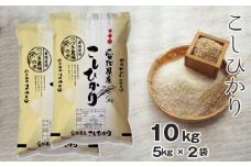 No.091 【白米】 令和5年産 つづき農場のコシヒカリ 10kg ／ お米 こしひかり 愛知県