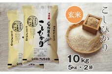 No.096 【玄米】 令和5年産 つづき農場のコシヒカリ 10kg ／ お米 こしひかり 愛知県