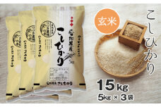 No.139 【玄米】 令和5年産 つづき農場のコシヒカリ 15kg ／ お米 こしひかり 愛知県