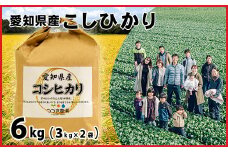 No.167 愛知県産コシヒカリ　6kg ／ お米 白米 精米 こしひかり 愛知県