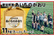 No.177 【令和6年産 新米】愛知県産あいちのかおり　11kg【申込受付は11月末まで】 ／ お米 精米 大粒 あっさり 愛知県 特産品