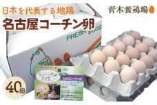 No.213 日本を代表する地鶏　名古屋コーチン卵　40個入 ／ こだわり 質 たまご 愛知県