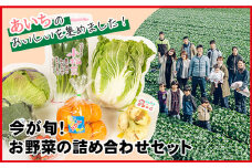No.214 今が旬！お野菜の詰め合わせセット ／ 新鮮 季節の野菜 おまかせ たっぷり 愛知県 特産品