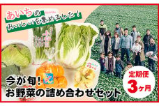 No.215 【3ヶ月定期便】今が旬！お野菜の詰め合わせセット ／ 新鮮 季節の野菜 おまかせ たっぷり 愛知県 特産品