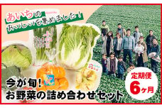 No.216 【6ヶ月定期便】今が旬！お野菜の詰め合わせセット ／ 新鮮 季節の野菜 おまかせ たっぷり 愛知県 特産品