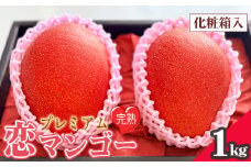 No.218 プレミアム樹上完熟　恋マンゴー約1kg（化粧箱入） ／ 果物 フルーツ デザート 南国 コク 甘み 愛知県 特産品