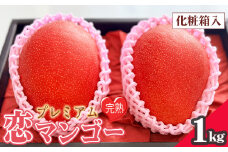 No.218 プレミアム樹上完熟　恋マンゴー約1kg（化粧箱入） ／ 果物 フルーツ デザート 南国 コク 甘み 愛知県 特産品