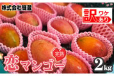 No.219 【訳あり】樹上完熟　恋マンゴー約2kg（家庭用化粧箱入） ／ 果物 フルーツ デザート 南国 コク 甘み 愛知県 特産品