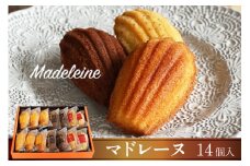 マドレーヌ 14個入 