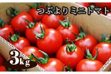 農園直送 つぶより ミニトマト 3kg入り 