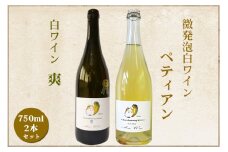 白ワイン・微発泡白ワイン飲み比べ2本セット Chardonnay2023「爽」750ml＆Chardonnay2023「ペティアン」各750ml｜ワイン スパークリング 飲み比べ シャルドネ 無添加 無濾過 国産 日本ワイン 愛知県 東浦町