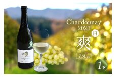 Chardonnay2023 爽 750ml 白ワイン｜シャルドネ 無添加 無濾過 国産 日本ワイン 愛知県 東浦町