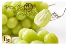 【先行予約】＜2026年発送＞東浦町産シャインマスカット 1kg（2～3房）│ぶどう ブドウ マスカット 葡萄 フルーツ 果物 新鮮 農家直送 フレッシュ デザート おやつ 種なし 皮ごと 愛知県 東浦町