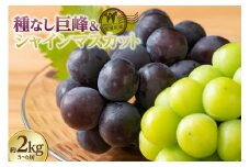 東浦町産 種なし巨峰＆シャインマスカット詰め合わせ　約2kg（5～6房）
