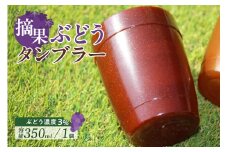 摘果ぶどうのタンブラー（ぶどう濃度3％）