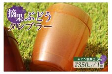 摘果ぶどうのタンブラー（ぶどう濃度0.5％）