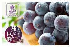 東浦町産 種なし巨峰・約1kg