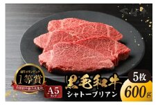 東浦町産「黒毛和牛」極上シャトーブリアン 5枚（約600g）│牛肉 牛 ステーキ シャトーブリアン 高級 贅沢 黒毛和牛 A5ランク 下村牛 焼肉 バーベキュー 愛知県 東浦町 東浦