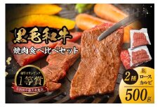 東浦町産黒毛和牛『下村牛』焼肉2種食べ比べセット（B）計500g（ロース・カルビ各250g）│焼肉 黒毛和牛 和牛 セット お肉 肉 バーベキュー 高級 カルビ かるび ロース 下村牛 愛知県 東浦町