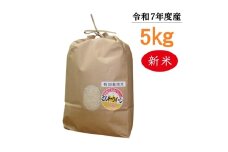 【令和7年度産】東浦町のミルキークイーン 5kg｜米  新米 おこめ 精米 直送 鈴木農産 愛知県