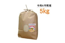 【令和6年度産】東浦町のミルキークイーン 5kg｜米 おこめ 精米 直送 鈴木農産 愛知県