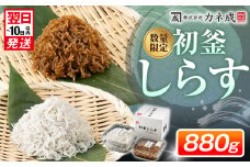 【最短翌日発送】初釜しらすセット 880g(しらす干し300g×2パック 佃煮280g×1パック) 冷凍 小分け しらす丼 シラス丼 しらす シラス ちりめん じゃこ チリメンジャコ かちり しらす シラス ちりめん じゃこ チリメンジャコ かちり しらす シラス ちりめん  かちり しらす シラス ちりめん じゃこ チリメンジャコ ふるさと納税しらす ふるさと納税シラス 愛知県 南知多