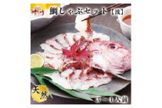 岬だよりの贅沢すぎる!鯛しゃぶセット＜波＞～出汁・ポン酢付き～