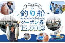 豊浜漁協 釣り船 割引クーポン12,000円分
