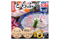岬だよりの＜大満足＞とらふぐセット 大福