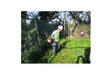 草刈り作業　18,000円引きクーポン