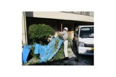 剪定作業　18,000円引きクーポン