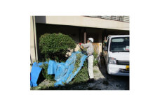 剪定作業　27,000円引きクーポン
