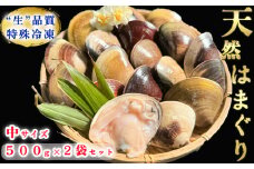 希少 天然 はまぐり 中サイズ 500g×2袋 岬だより 冷凍 はまぐり 天然貝 魚貝 海鮮 魚介 新鮮 はまぐり 蛤 ハマグリ 蛤鍋 はまぐり はまぐり鍋 ふるさと納税貝 ふるさと納税はまぐり ふるさと納税ハマグリ ふるさと納税蛤 人気 おすすめ 愛知県 南知多町