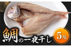 鯛 一夜干し 5尾 冷凍 たい 個包装 国産 無添加 鯛茶漬け 炊き込みご飯 鯛めし 海鮮 新鮮 魚介 海の幸 海産物 シーフードエム・エム 愛知県 南知多町