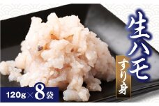 生 ハモ すり身 120g × 8袋入り 冷凍 鱧 真空包装 お吸い物 鍋物 おでん 海鮮 新鮮 魚介 海の幸 海産物 シーフードエム・エム 愛知県 南知多町