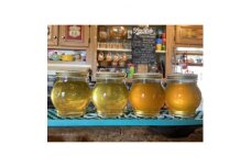 国産蜂蜜4本セット(瓶)