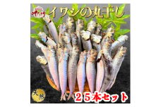 ＜大好評!＞脂の乗ったいわしの丸干し 25本セット いわし 干物 夕食 晩ごはん 料理 簡単料理 調理 お手軽 コメ に合う お米に合う 南知多 愛知