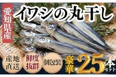 ＜大好評!＞脂の乗ったいわしの丸干し 25本セット いわし 干物 夕食 晩ごはん 料理 簡単料理 調理 お手軽 コメ に合う お米に合う 南知多 愛知