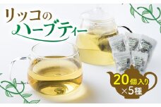 ハーブティー セット ( 20個 × 5種 ) 国産 愛知県 南知多町 詰め合わせ ティーバッグ ハーブ 飲み比べ オリジナル 自家製 人気 おすすめ