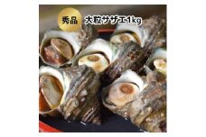 秀品サザエ1kg 刺身・生食可(CAS冷凍で新鮮)大粒約6～7コ