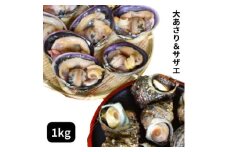 海鮮バーベキューセット 1kg(大アサリ500g＋サザエ500g) 大アサリ専用だし醤油付き あさり アサリ 浅利 サザエ さざえ 栄螺 海鮮 バーベキュー BBQ あさり アサリ 浅利 サザエ さざえ 栄螺 海鮮 バーベキュー BBQ あさり アサリ 浅利 サザエ さざえ 栄螺 海鮮 バーベキュー BBQ あさり アサリ 浅利 サザエ さざえ 栄螺 海鮮 バーベキュー BBQ 愛知県 南知多町