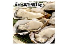 特上・篠島の殻付き真牡蠣1kgセット(生食用かき・CAS冷凍カキ)海鮮バーベキューBBQ、浜焼きに