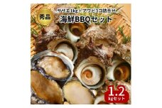 秀品 サザエ 1kg 蝦夷 アワビ 3個 海鮮 BBQ セット 贅沢 詰め合わせ 冷凍 生食可能 新鮮 詰合せ サザエ 海鮮バーベキュー サザエ アワビ 冷凍 貝 アワビ 海鮮 魚貝 バーベキュー BBQ 天然 刺身 高級 厳選 鮑 肝 焼き 刺し身 ふるさと納税貝 貝刺し身 ふるさと納税刺し身 サザエ アワビ ふるさと納税サザエ ふるさと納税アワビ 人気 おすすめ 愛知県 南知多町