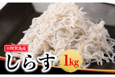 日間賀島 しらす 1kg 冷凍 愛知県 南知多町 天然 塩 ご飯 ごはん パスタ サラダ ピザ 丼 料理 国産 シラス 魚 さかな ミネラル パーティー 人気 おすすめ 魚 お魚 鮮魚 夕食 晩ごはん お手軽 簡単 お米に合う コメに合う 美味しい漬け丼 海鮮 ちりめん