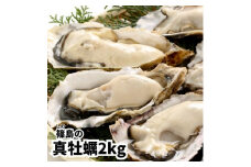 牡蠣 殻付き 生食用 2kg 冷凍 真牡蠣 牡蠣 かき カキ 貝 魚介 魚貝 海鮮 魚介類 魚貝類 つまみ 魚貝 海鮮 魚介類 魚貝類 BBQ 牡蠣 かき カキ 貝 魚介 魚貝 海鮮 魚介類 魚貝類 バーベキュー 牡蠣 かき カキ 貝 魚介 魚貝 海鮮 魚介類 魚貝類 真牡蠣  貝 魚介 魚貝 海鮮 魚介類 魚貝類 ふるさと納税牡蠣 ふるさと納税カキ 人気 おすすめ 愛知県 南知多町