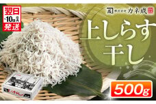 【最短翌日発送】訳あり しらす 500g ちりめん プレミアム 減塩 無添加 無着色 冷凍 ちりめんじゃこ しらす干し 新鮮 冷凍 愛知県 南知多町 ご飯 ごはん シラス 新鮮 料理 国産しらす カネ成 人気 おすすめ 魚 お魚 鮮魚 美味いしらす 人気しらす お手軽 簡単 人気シラス 海鮮 海鮮丼 魚介 しらす丼 おいしいしらす ご褒美 大人気 おすすめ おこめ のお供  シラス丼 本場しらす