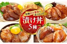特製出汁醤油で漬け込んだ漬け丼5種セット10食分(各90g)