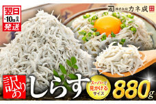 【最短翌日発送】訳あり カネ成 釜揚げしらす 880g 110g×8パック 小分け 減塩 無添加 無着色 冷凍 シラス しらす 魚 小魚 魚貝 魚貝類 しらす シラス 天日干し 海鮮 しらす丼 シラス丼 しらすご飯 シラスご飯 ふるさと納税しらす ふるさと納税 しらす おすすめ 南知多産しらす 愛知県産しらす ちりめん じゃこ かちり おつまみ シラス丼 人気 おすすめ 米 おコメ に合う 