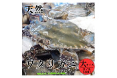 活〆 生 ワタリガニ (大) 1kg 3～5杯 オスのみ 冷凍 特製 三杯酢付き セット 旬 期間限定 海鮮 魚貝 魚介 新鮮 渡り蟹 カニ 蟹 天然 まるは本館 人気 おすすめ 愛知県 南知多町 魚 海鮮 お魚 カニ お米に合う コメに合う おかず ご飯のお供 魚貝類 わたりがに ワタリガニ カニ 蟹 天然かに ふるさと納税ワタリガニ ふるさと納税蟹 ふるさと納税かに わたり蟹 渡りガニ